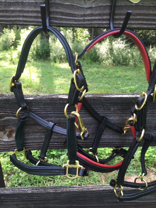 Leather padded halter for A minis