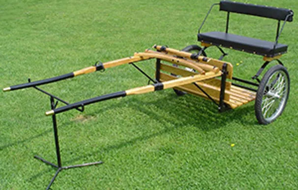 Mini Easy Entry pleasure cart