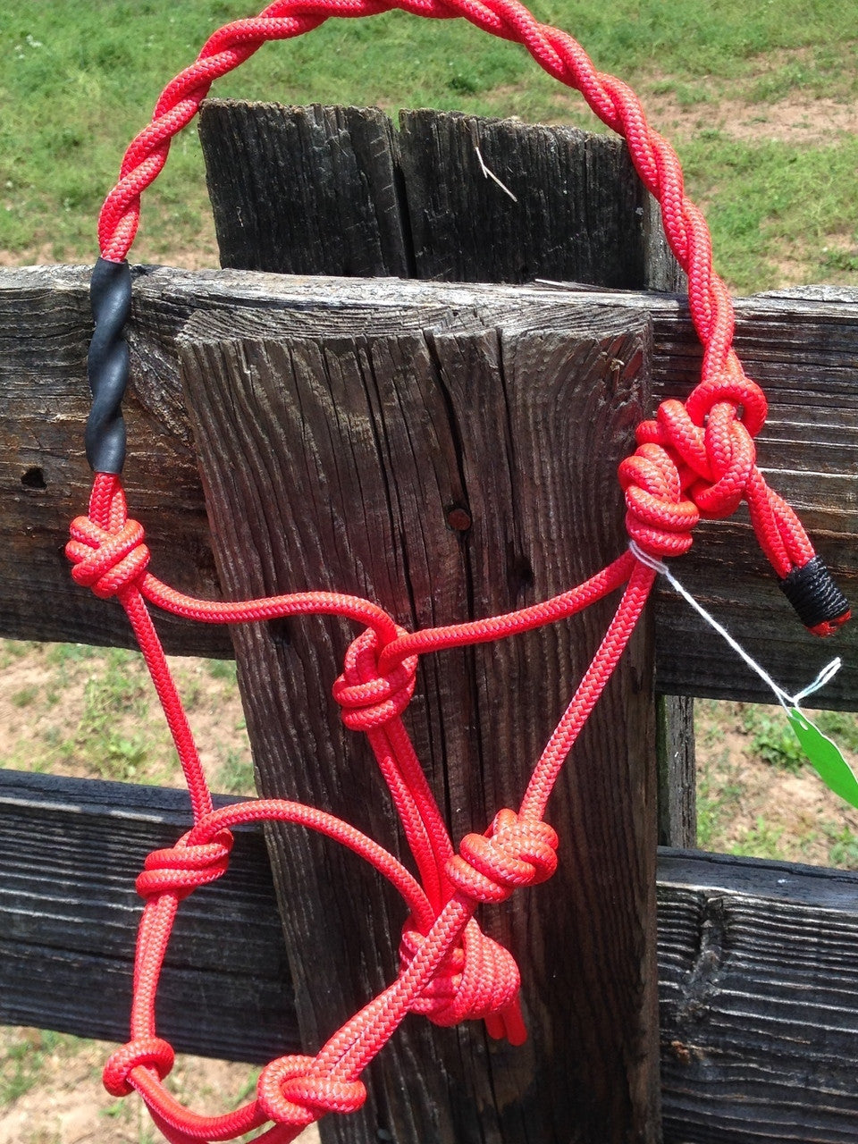 Advantage mini rope training halter