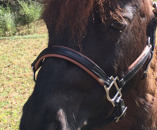 Leather padded halter for A minis