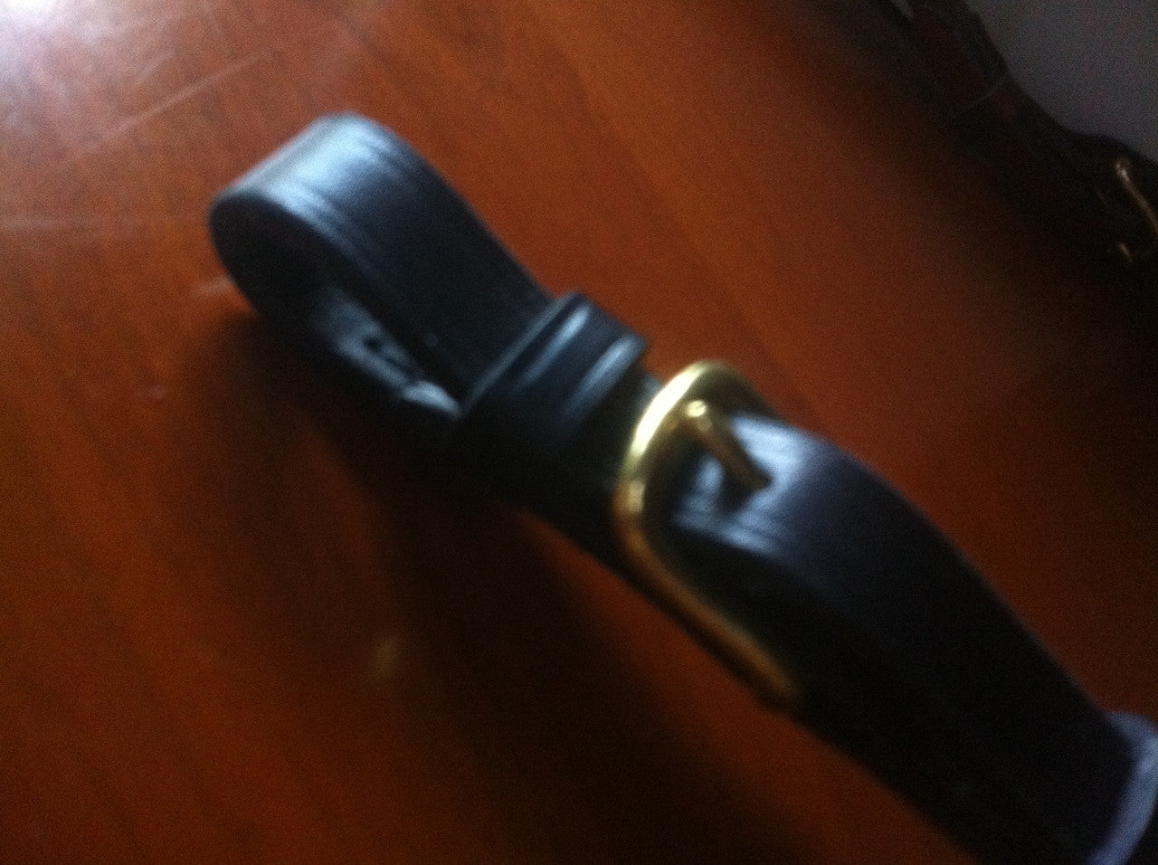 Leather show lead with buckle-end
